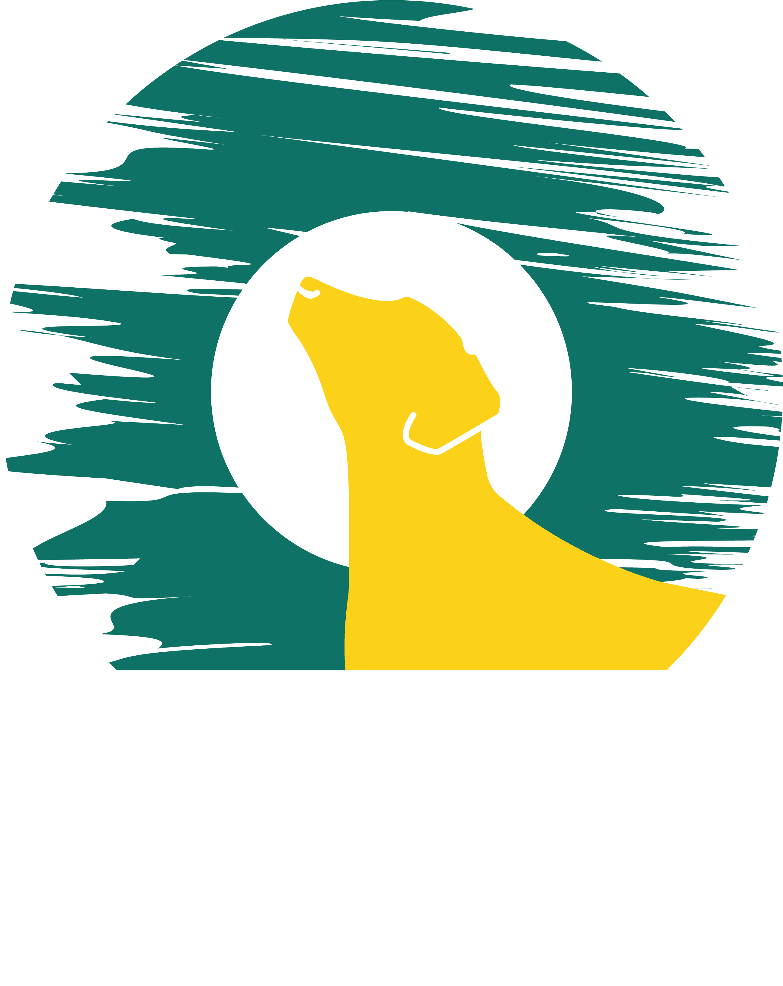 Logo for Wonky Lab